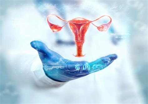 jinekoloji kadın doğum farkı
